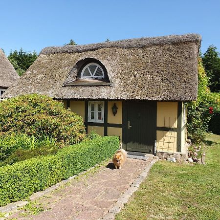 Zara'S B&B ฮอร์เซินส์ ภายนอก รูปภาพ