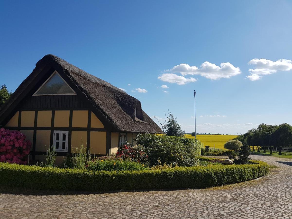 Zara'S B&B ฮอร์เซินส์ ภายนอก รูปภาพ