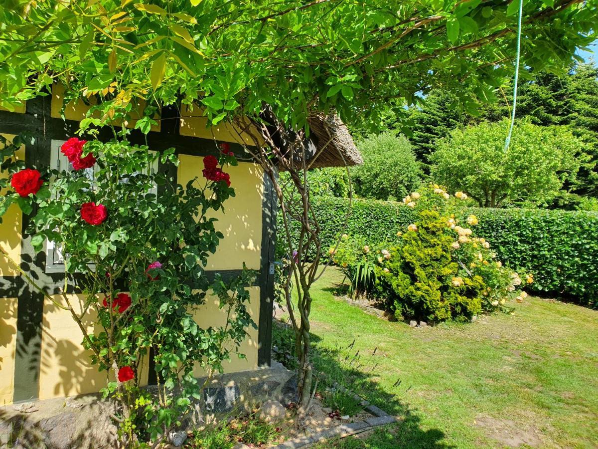 Zara'S B&B ฮอร์เซินส์ ภายนอก รูปภาพ