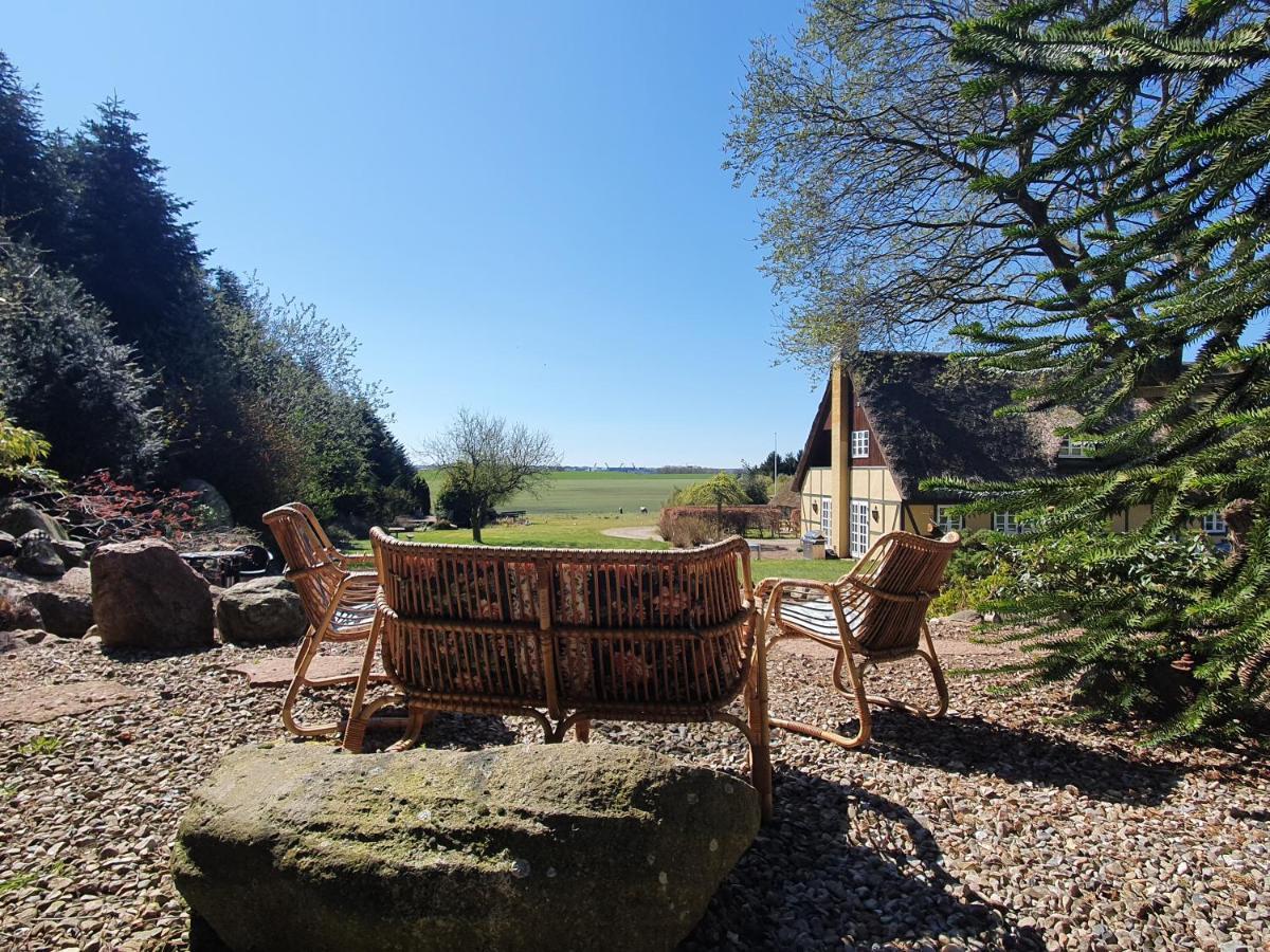 Zara'S B&B ฮอร์เซินส์ ภายนอก รูปภาพ